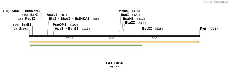 52894_map