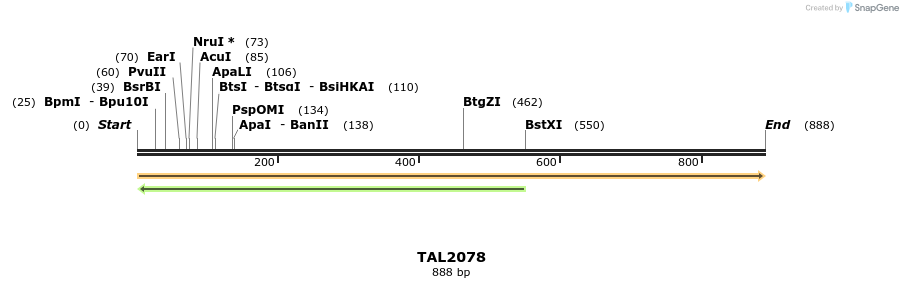 52896_map