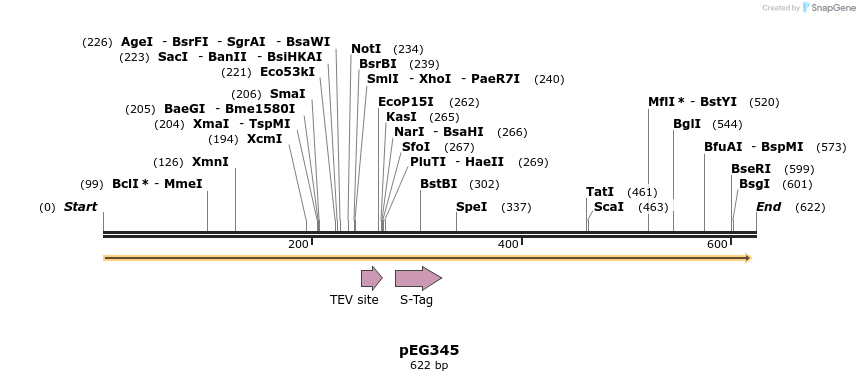 52897_map