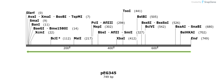 52898_map