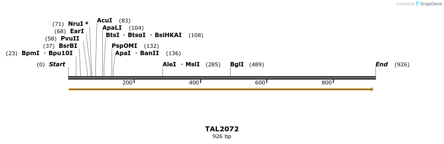 52899_map