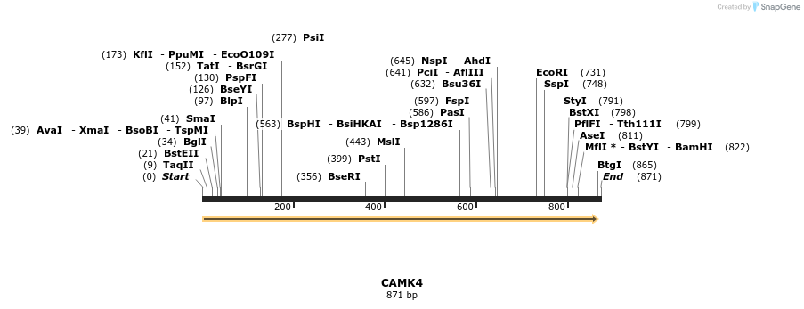 52900_map