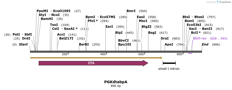 52904_map