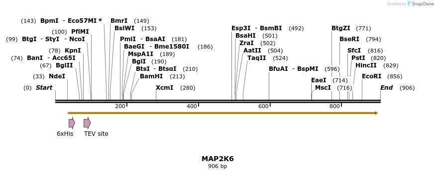 52907_map