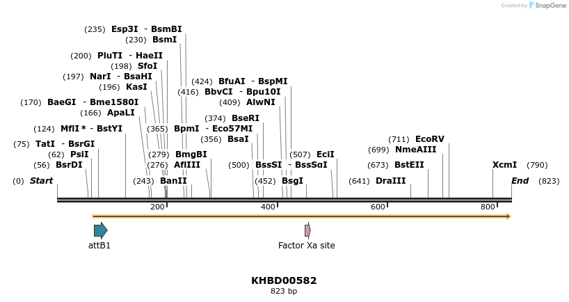 52908_map