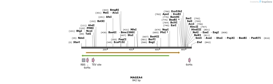 52911_map