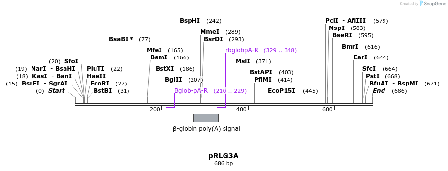52912_map