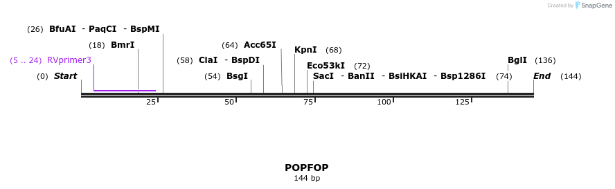 52916_map