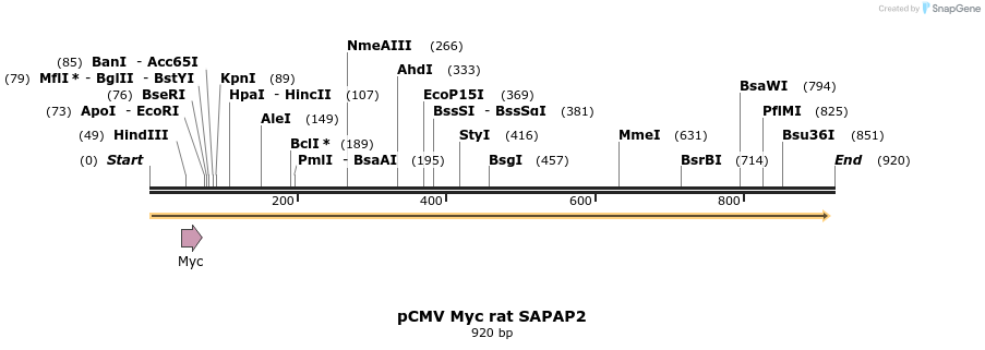 52924_map