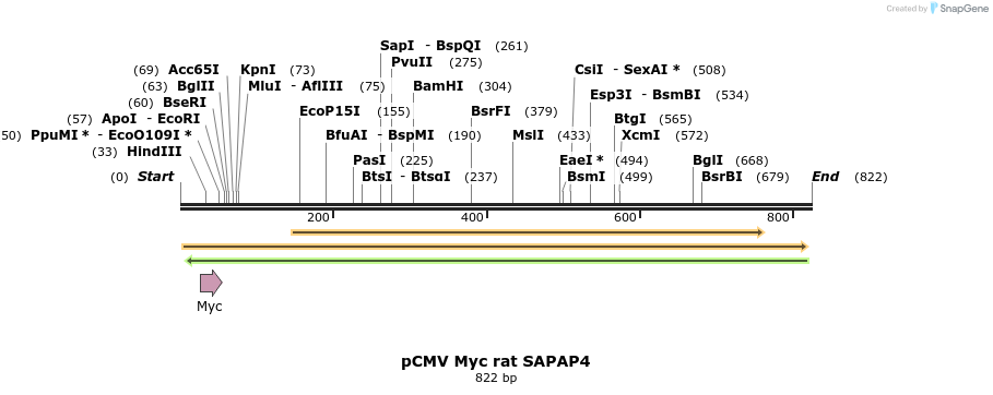 52933_map