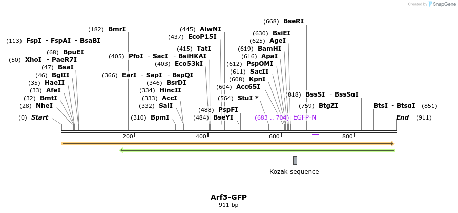 52940_map