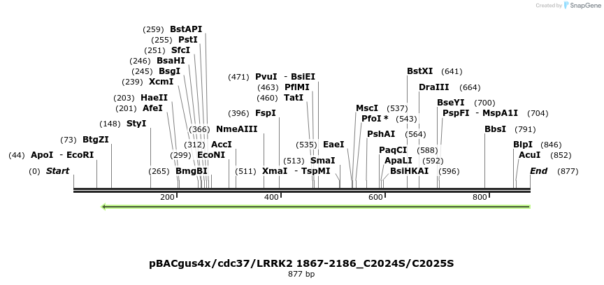 52945_map