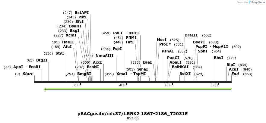 52947_map
