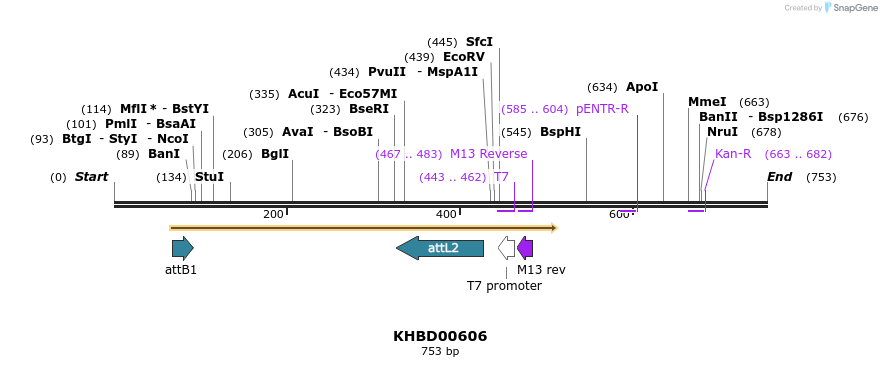 52952_map