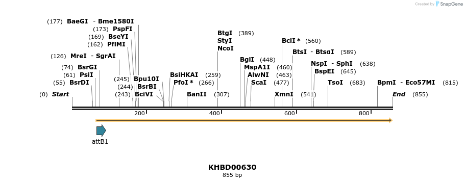 52960_map