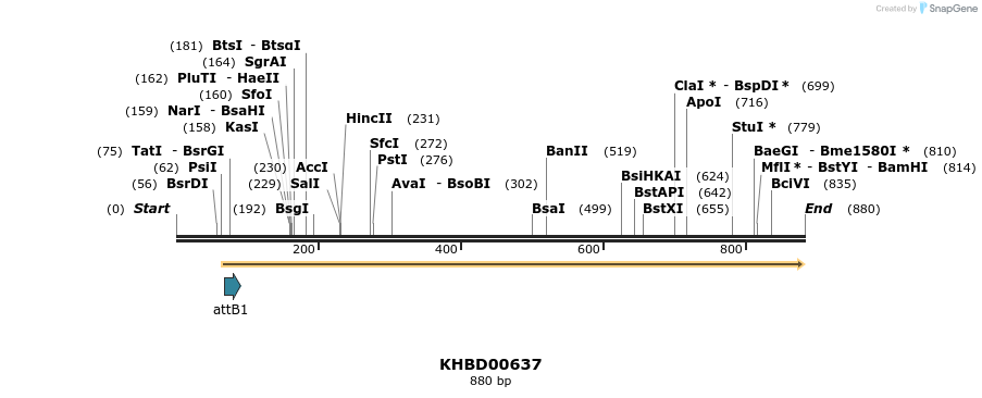 52962_map