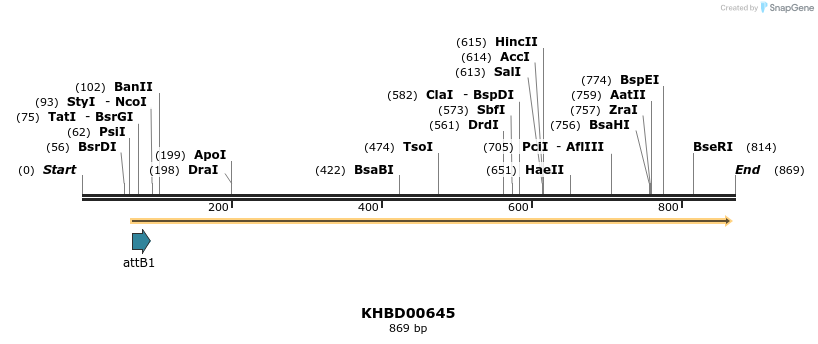 52963_map