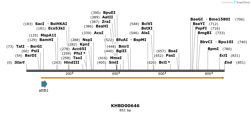 52964_map