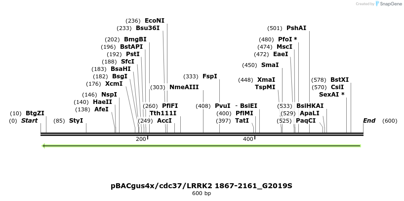 52966_map