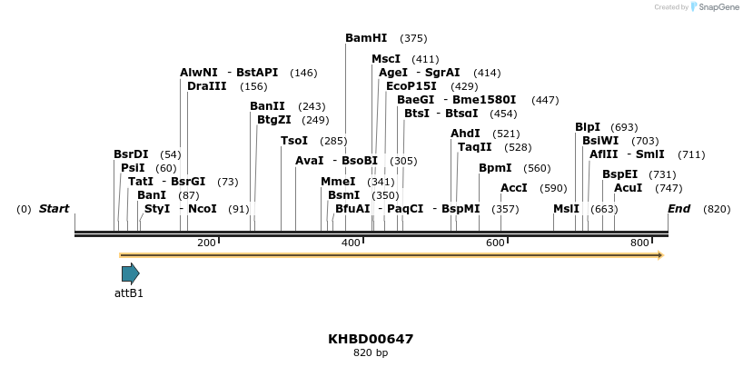 52971_map