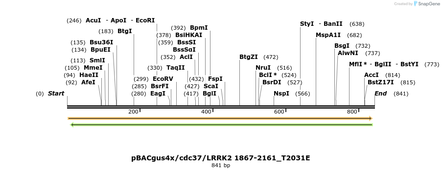 52972_map