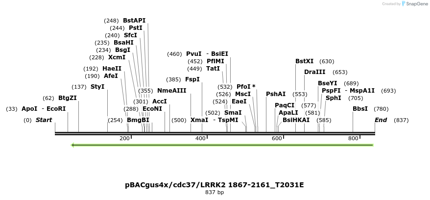 52973_map