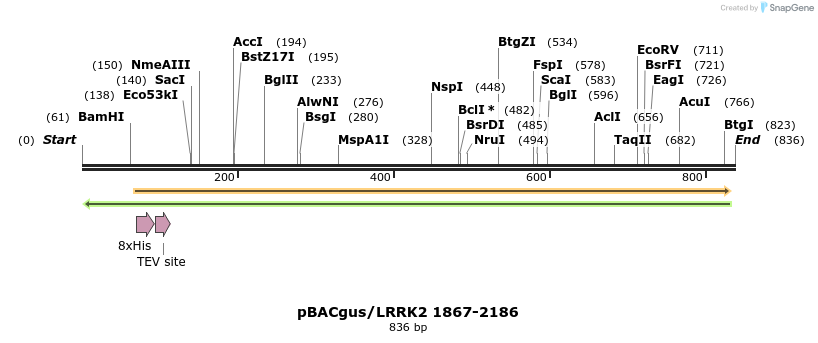 52975_map