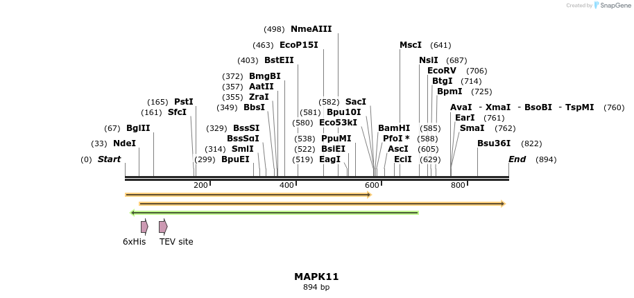 52980_map
