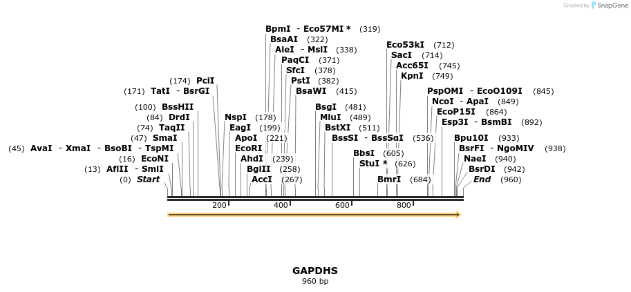 52986_map