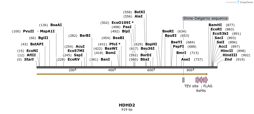 52987_map