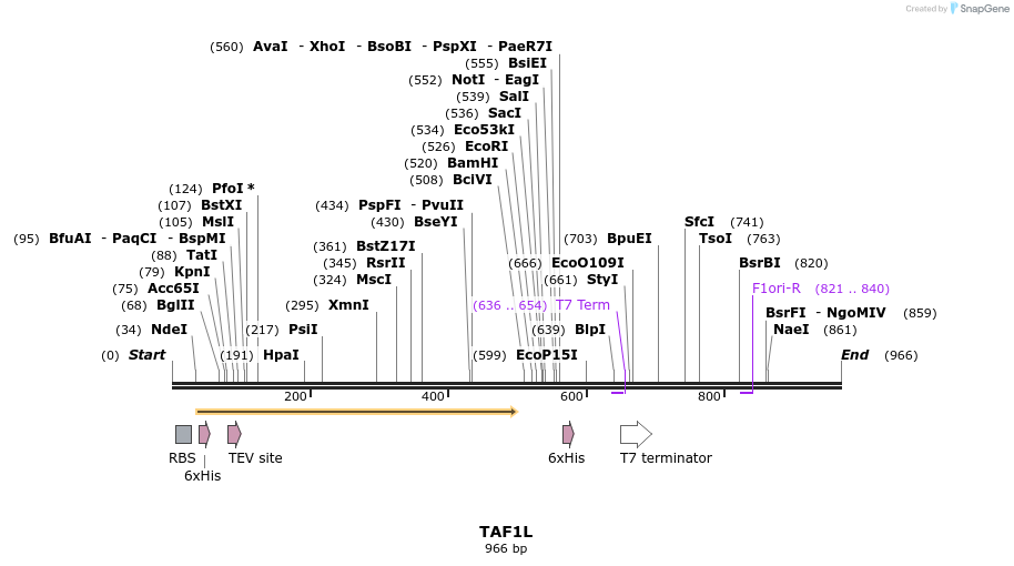 52989_map