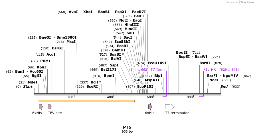 52990_map