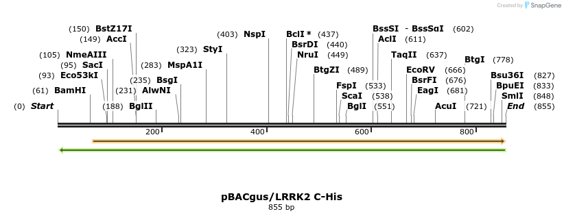 52992_map