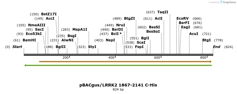 52996_map