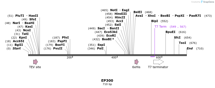 53001_map