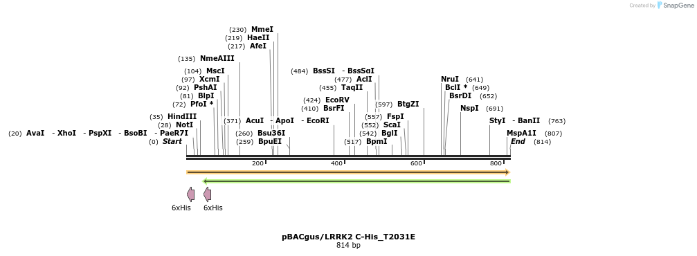 53002_map