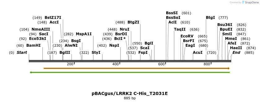 53004_map