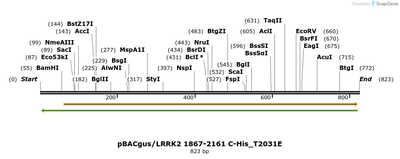 53008_map