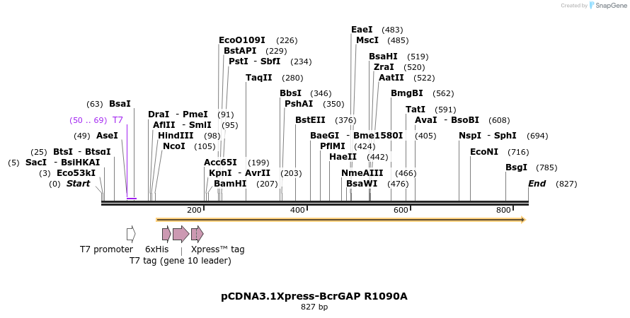 53009_map