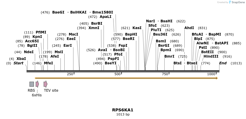 53010_map