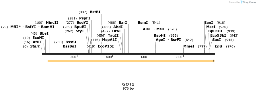 53012_map
