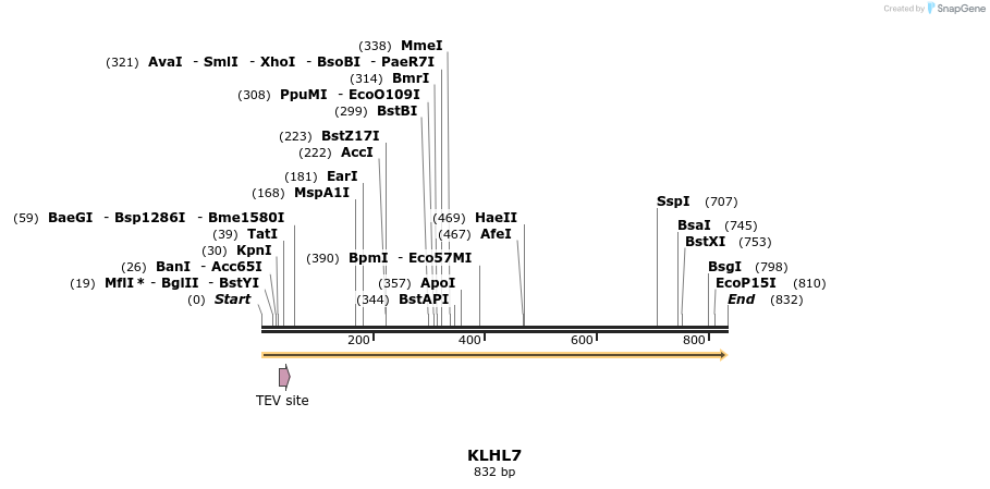 53016_map