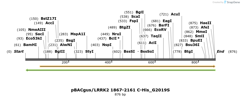 53017_map