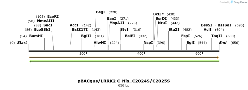 53020_map