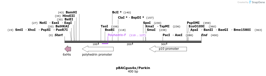53024_map