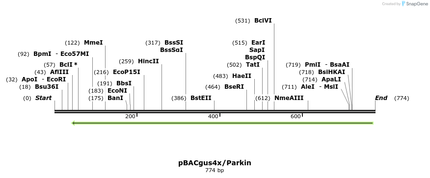 53025_map