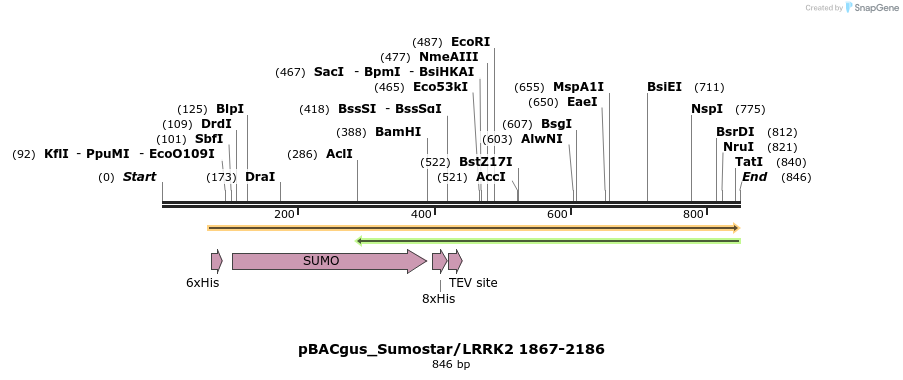 53027_map