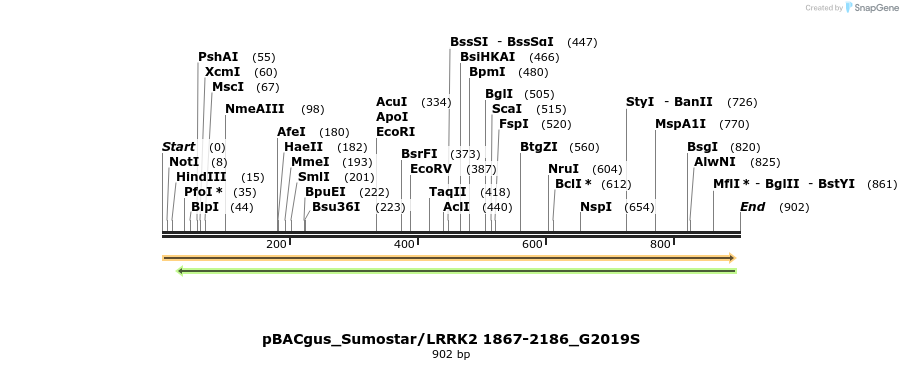 53028_map