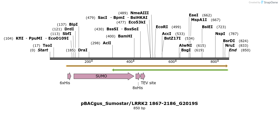 53029_map