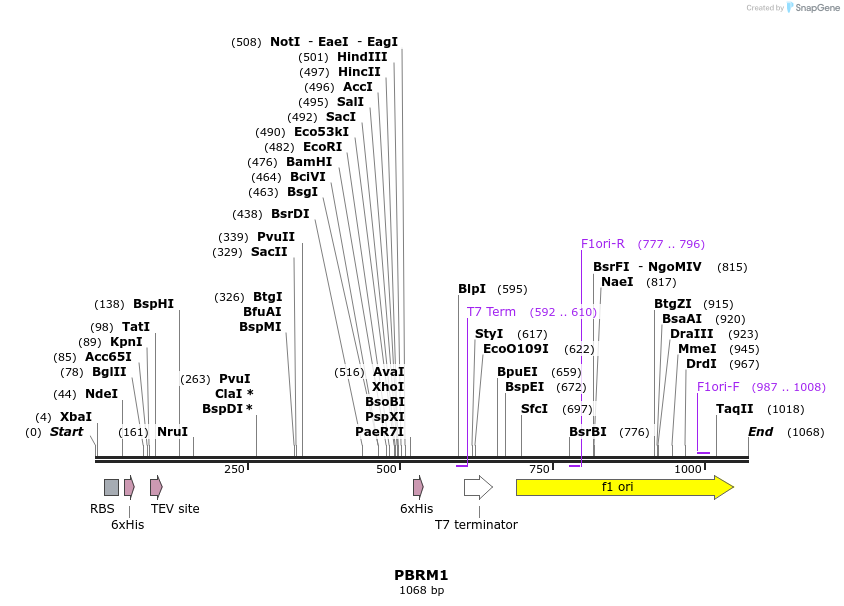 53030_map